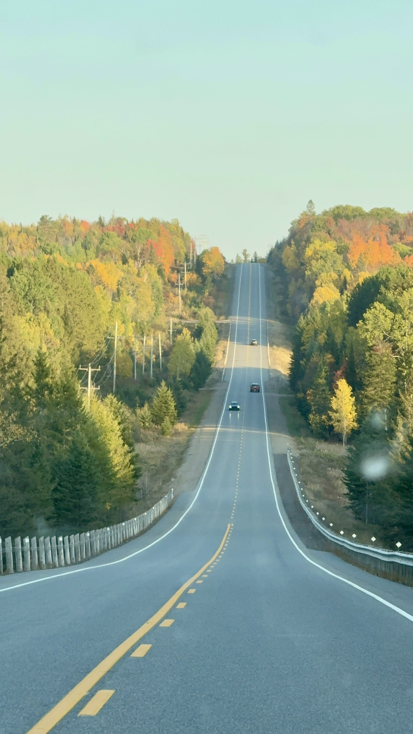 Blog post image